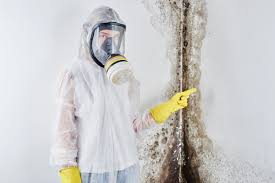 Best Air Quality Testing for Mold Spores  in USA